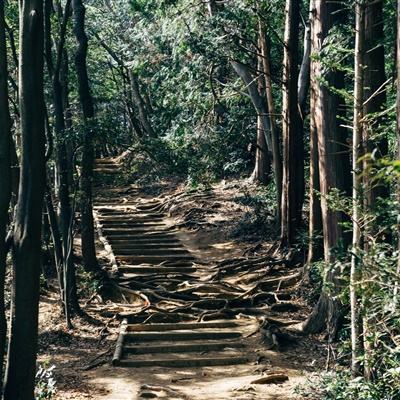 深渊之怒欧皇版手游下载